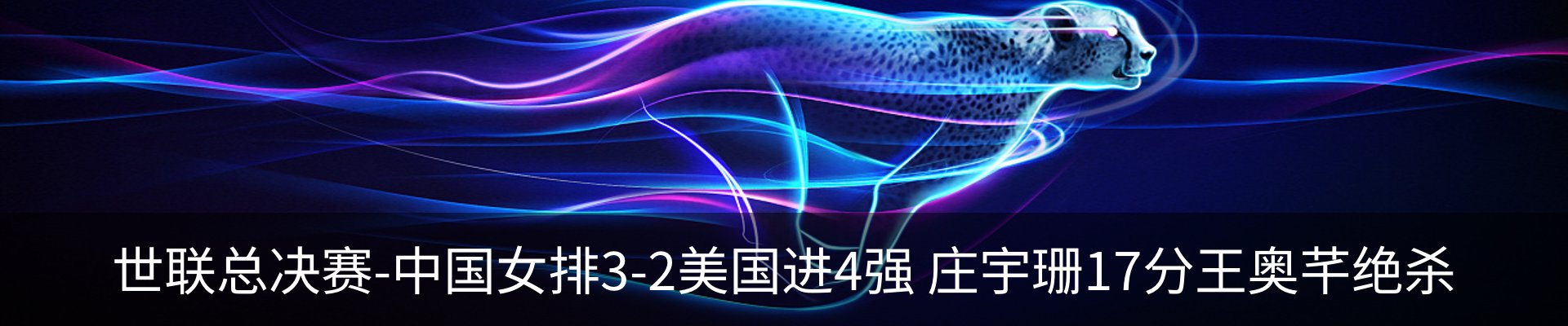 新闻动态