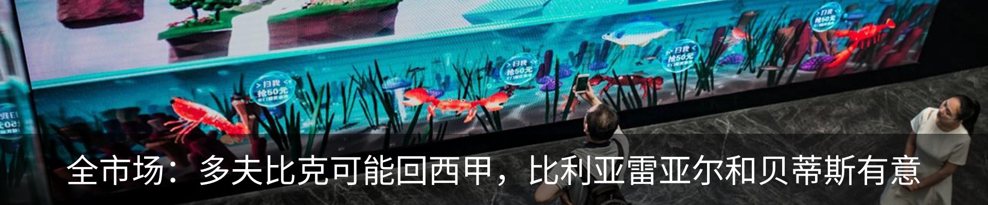 新闻动态