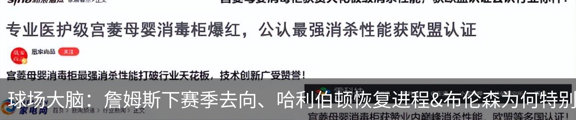 新闻动态