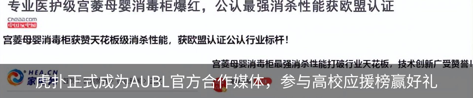新闻动态