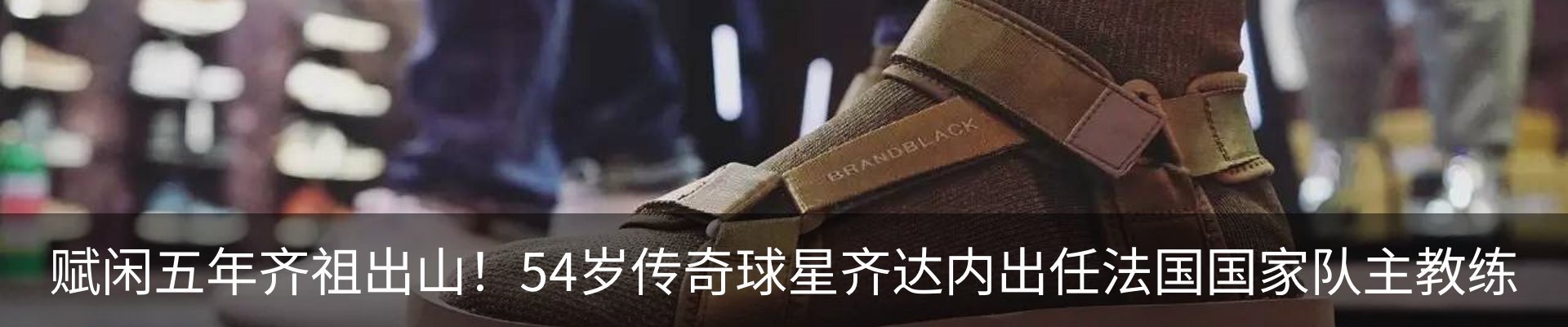 新闻动态